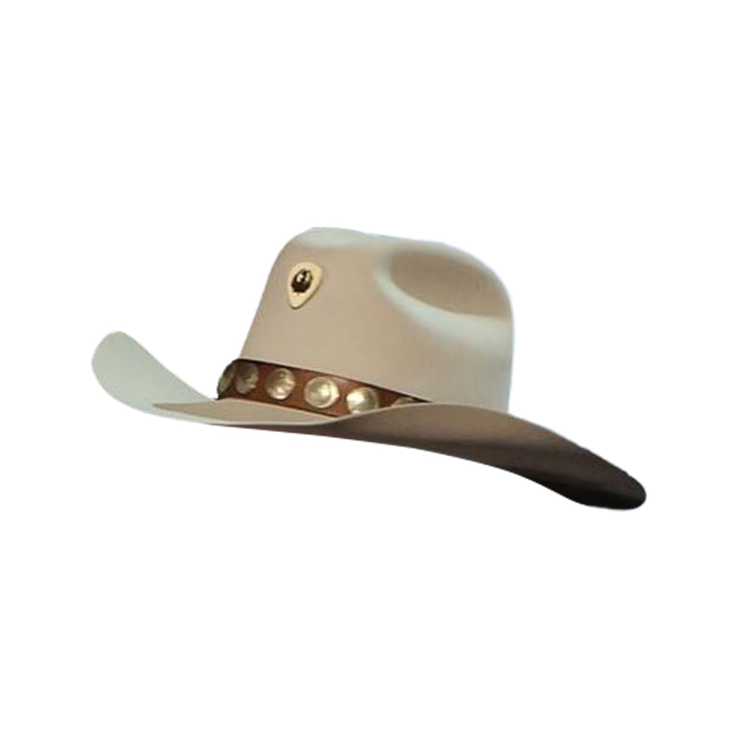 Hank Williams Jr. Hat