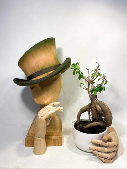 Chapeau haut-de-forme asymétrique